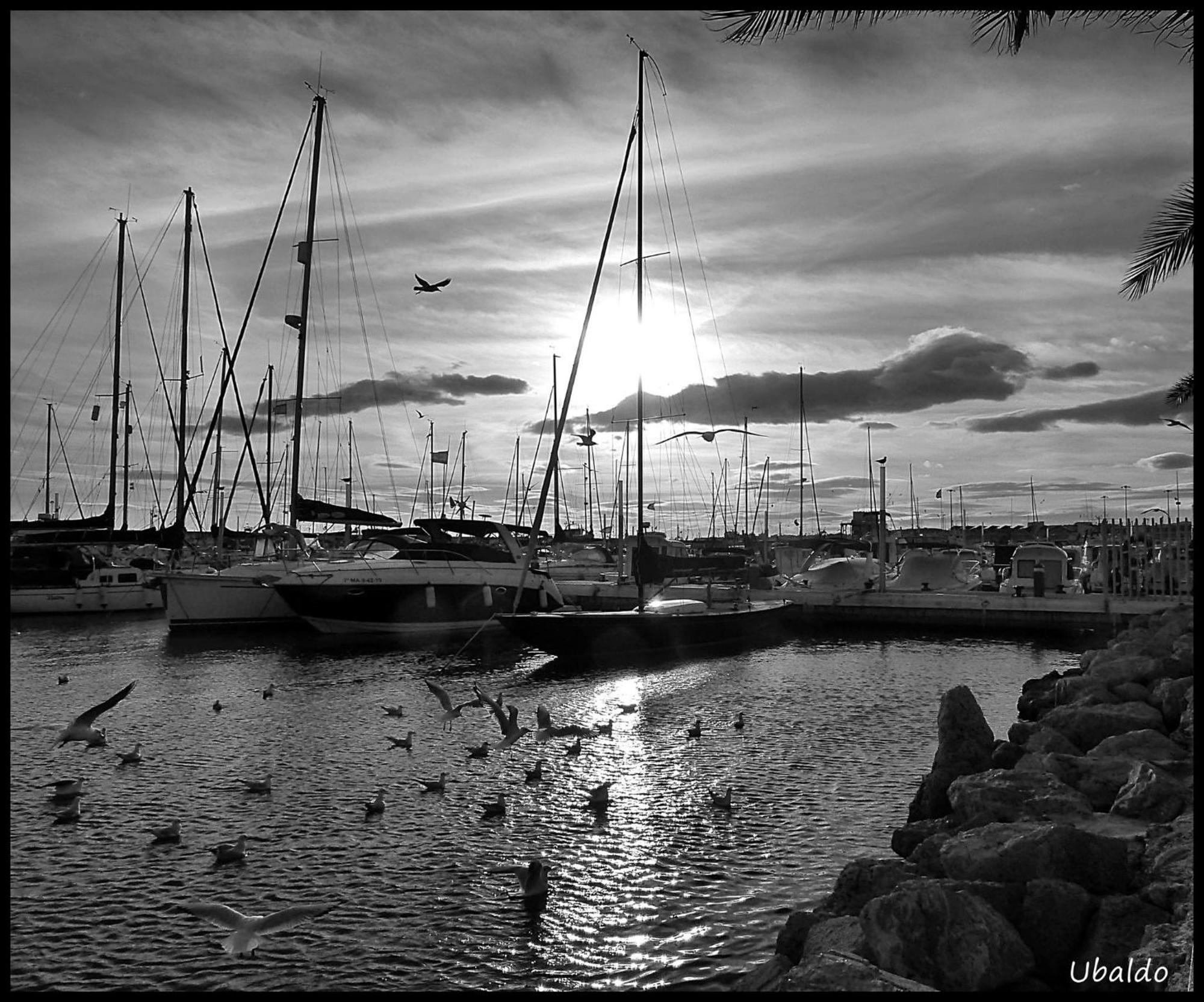 Brisas del mar Caleta De Velez Exterior foto